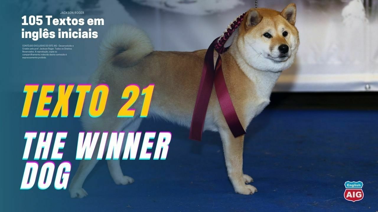 Texto 21. The Winner dog - Aulas de Inglês Grátis